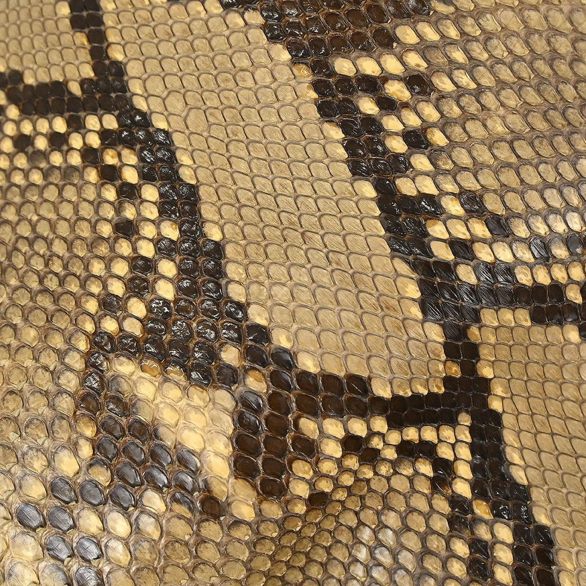 Gucci * Beige Python Bamboo 2way Handbag - Image 14